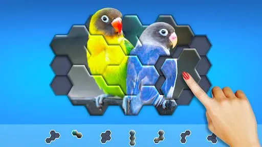 Скриншот 6 — Hexa Jigsaw Puzzle ®