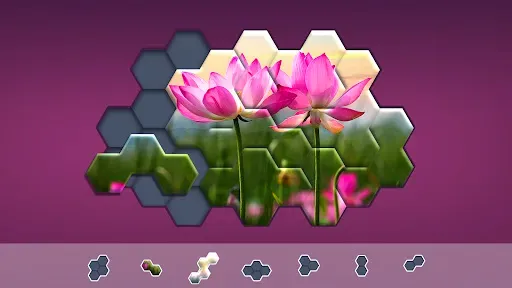 Скриншот 7 — Hexa Jigsaw Puzzle ®