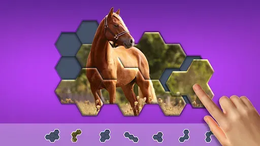 Скриншот 8 — Hexa Jigsaw Puzzle ®