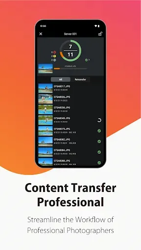 Скриншот 1 — Content Transfer Professional