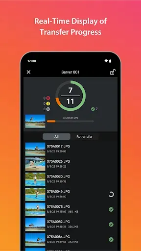Скриншот 5 — Content Transfer Professional