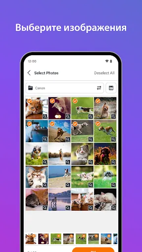 Скриншот 3 — SELPHY Photo Layout