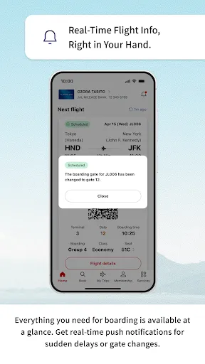 Скриншот 4 — Japan Airlines