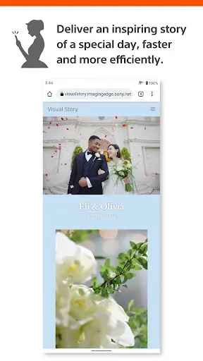 Скриншот 2 — Sony | Visual Story