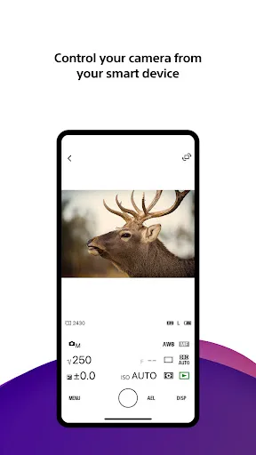 Скриншот 7 — Sony | Creators' App