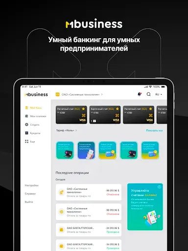 Скриншот 8 — MBusiness