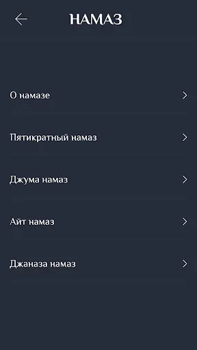 Скриншот 5 — Намаз китеби кыргызча
