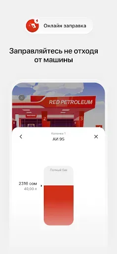 Скриншот 3 — RedPay KG