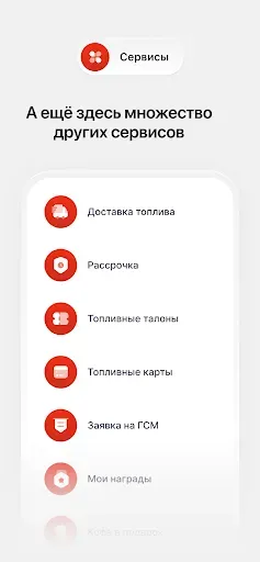 Скриншот 6 — RedPay KG