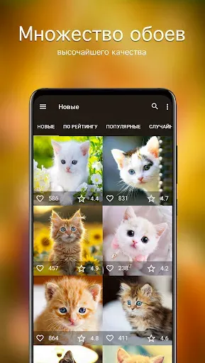 Скриншот 2 — Обои котята | Котики от 7Fon