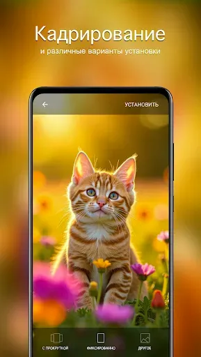 Скриншот 4 — Обои котята | Котики от 7Fon