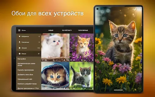 Скриншот 6 — Обои котята | Котики от 7Fon