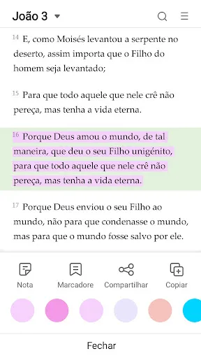 Скриншот 8 — Bíblia sagrada - Versículos