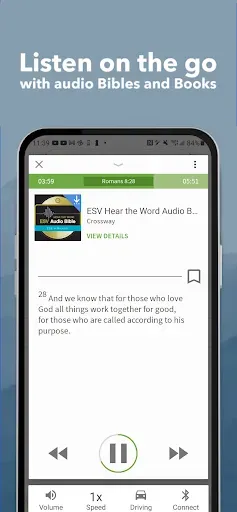 Скриншот 4 — KJV Strong's Bible Concordance