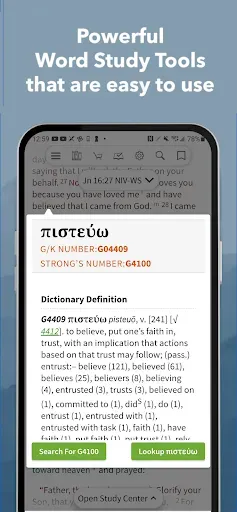 Скриншот 5 — KJV Strong's Bible Concordance