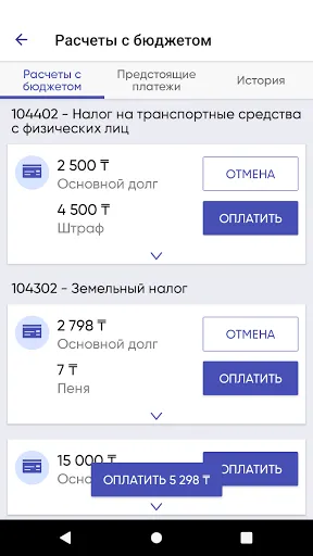 Скриншот 4 — e-Salyq Azamat
