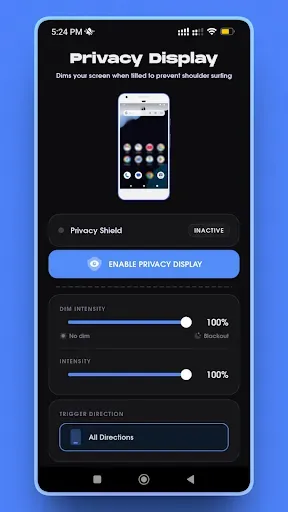 Скриншот 6 — Privacy Display: Hide Screen