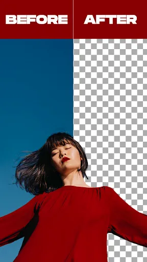 Скриншот 5 — Remove Background From Video