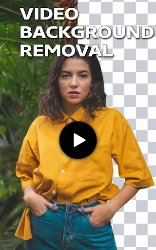 Скриншот 5 — Video Background Remover