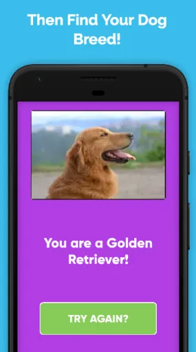Скриншот 2 — What Type Of Dog Are You?