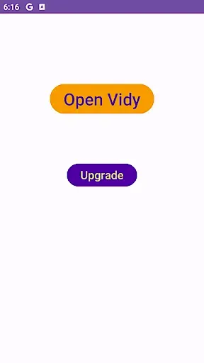 Скриншот 1 — Vidy Player
