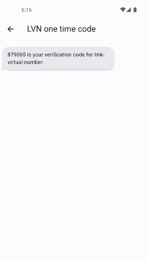 Скриншот 8 — Link Virtual Number