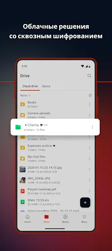 Скриншот 2 — MEGA
