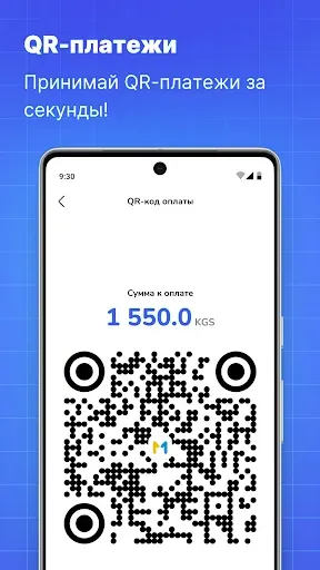 Скриншот 5 — MKassa
