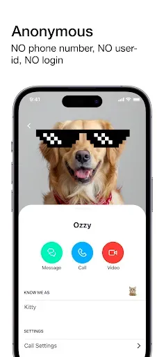 Скриншот 1 — Skred Messenger