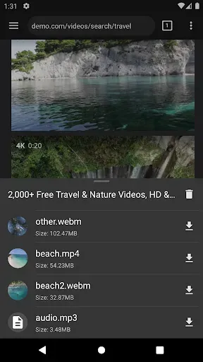 Скриншот 2 — Video Downloader Pro