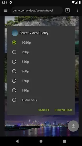 Скриншот 3 — Video Downloader Pro