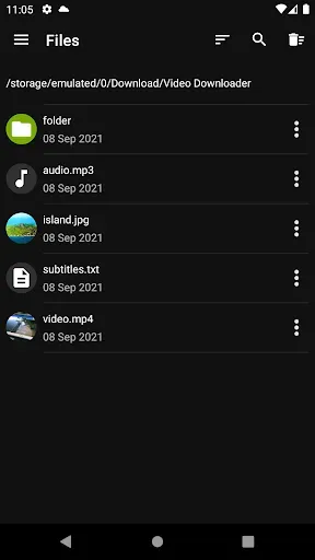 Скриншот 4 — Video Downloader Pro