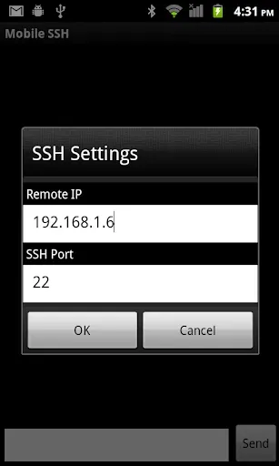 Скриншот 3 — Mobile SSH (Secure Shell)