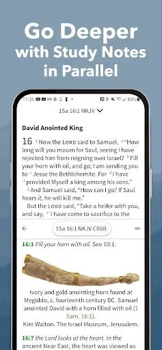 Скриншот 2 — Message Bible by Olive Tree