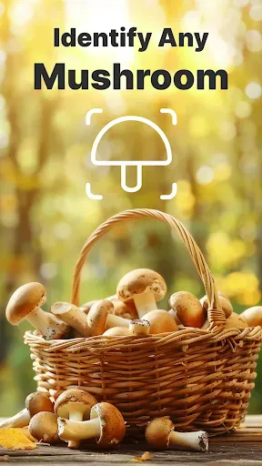 Скриншот 2 — Mushroomizer