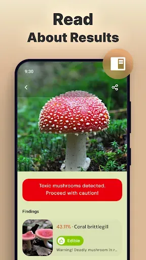 Скриншот 3 — Mushroomizer