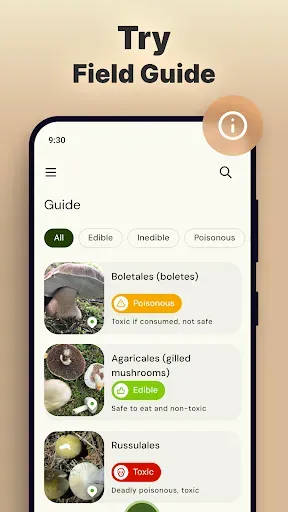 Скриншот 5 — Mushroomizer