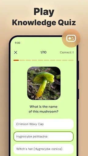 Скриншот 6 — Mushroomizer