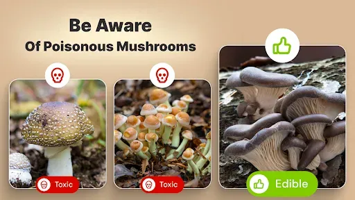 Скриншот 8 — Mushroomizer