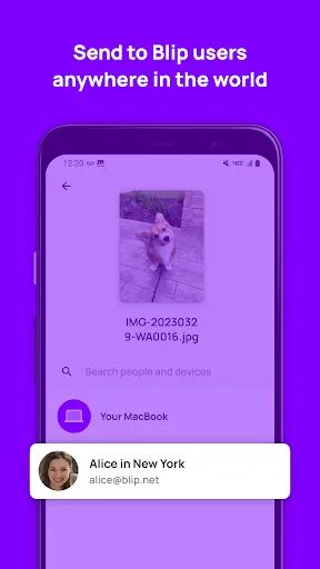 Скриншот 1 — Blip (File Transfer)
