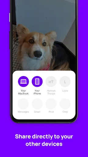 Скриншот 2 — Blip (File Transfer)