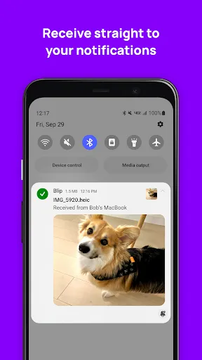 Скриншот 3 — Blip (File Transfer)