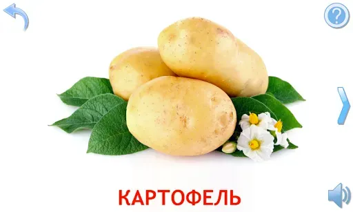 Скриншот 4 — Овощи и Фрукты для детей
