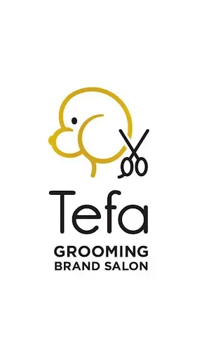 Скриншот 1 — TEFA GROOMING BRAND SALON
