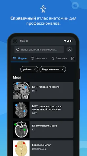 Скриншот 1 — IMAIOS e-Anatomy