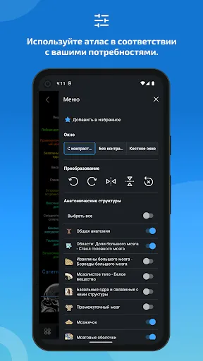 Скриншот 6 — IMAIOS e-Anatomy