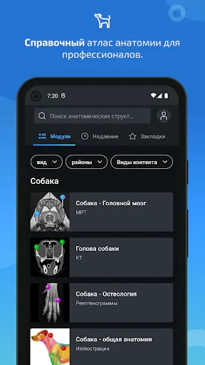 Скриншот 1 — IMAIOS vet-Anatomy