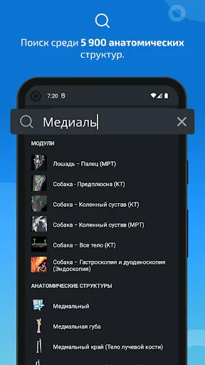 Скриншот 3 — IMAIOS vet-Anatomy