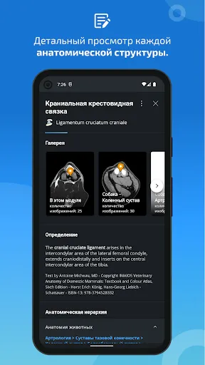 Скриншот 5 — IMAIOS vet-Anatomy