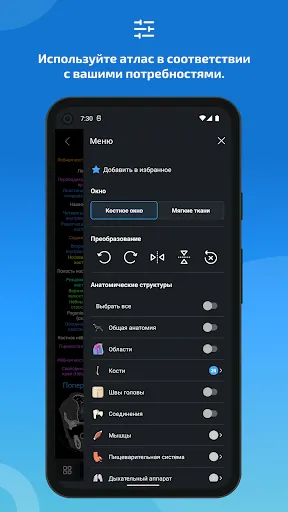 Скриншот 6 — IMAIOS vet-Anatomy
